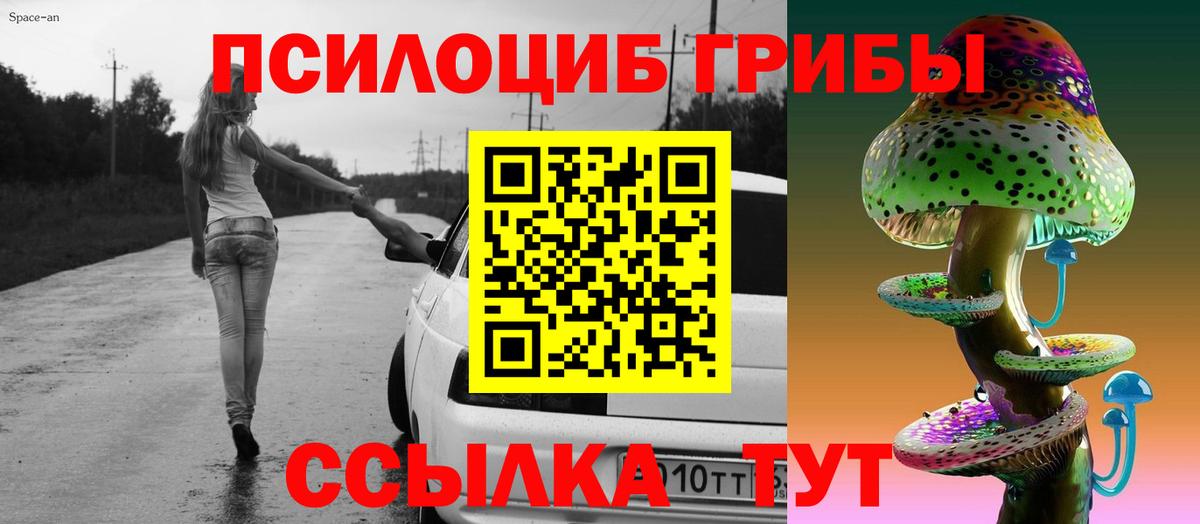 Сочи  Псилоцибиновые грибы прущие грибы  Вход с VPN 